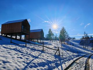 Suspended Tiny House - Drumu Carului - 5