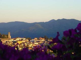 Il Trebbio - Barga - 3