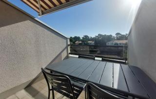 Pet Friendly Apartment - 2
