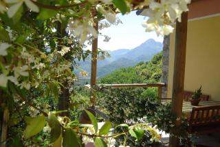Il Trebbio - Barga - 6