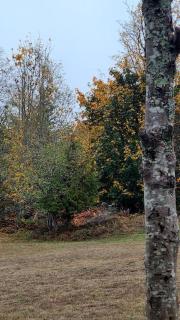 Greentree Pacific House - 2