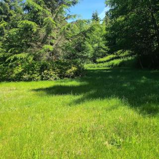 Greentree Pacific House - 6