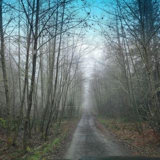 Greentree Pacific House - 7