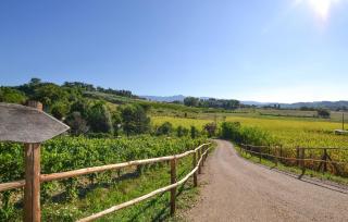 Amazing Apartment In Reggello With Wifi - Reggello - 5