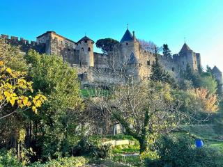 Maison Henriette - Au plus près de la Cité Médiévale - 6