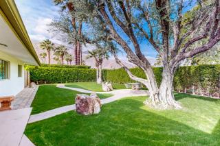 California Dreamin' in the Desert - 31952 - 5