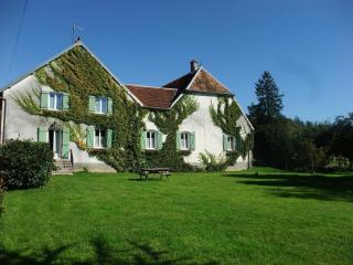 Maison historique avec chambres d'hôtes et parc clos à Choye - FR-1-583-293 - - 5