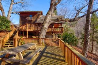 Fox's Lair - Sugar Grove - 8