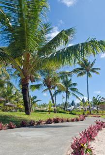 Jalsa Beach Hotel & Spa - Poste Lafayette - 1