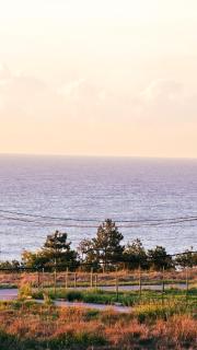 Beach Please VIP - 4