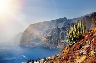 Los Gigantes Apartament Sea View & Beach - Acantilado de los Gigantes - 3