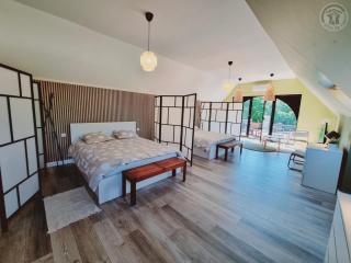 Gîte bien-être avec piscine, spa et sauna à Gussignies - FR-1-510-223 - Gussignies - 9