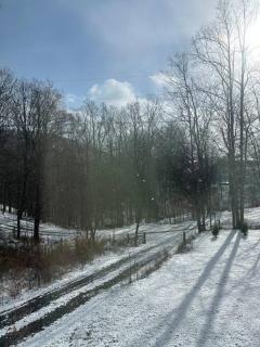 Seneca Cabin - New Updates - Fun Getaway! - 3