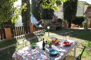 Orsola - Vigne - 6