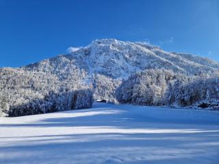 Appartement Woidrauschen - Ruhpolding - 0