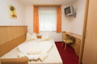 Apartments in Flachau - Salzburger Land 49982 - Flachau - 1