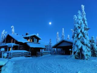 Ruka Valley, tilava huvila - Ruka - 0