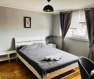 Appartement typique Gare Lille Flandre centre ville - Lille - 3