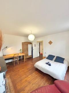 Chambre Bugrane - Toulouse - 9