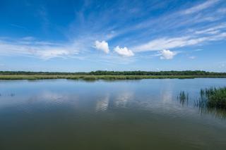 Shrimpers Cove - Edisto Island - 5