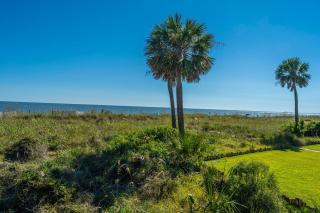 Tiger's Roost - Edisto Island - 5