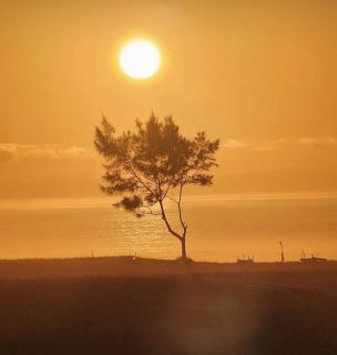 Casa em Itaipuaçu com piscina e 3 qtos - 1