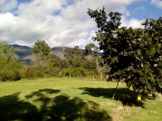Hospedaje y Zona de Camping Pistacho - 1
