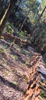 Canelos - Puerto Montt - 4