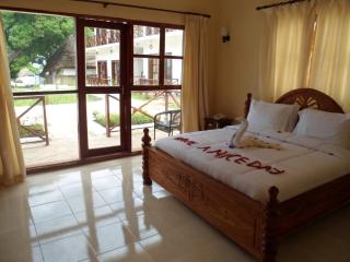 Zanzibar Ocean View Hotel - Città di Zanzibar - 1