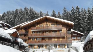 Apartment Brunnen - GRIWA RENT AG - Grindelwald - 9