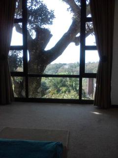Glass House Haven - 6