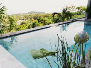 Phuket 4-Bedrooms Seaview 884m2 Private XL Luxury Infinity Pool Villa - Ban Pa Khlok - 7