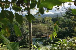 Natural Paradise Private Cabin - Sol & Verde - Fortuna - 2