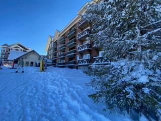 Slope-side Snowshoe Village Condo - Snowshoe - 1