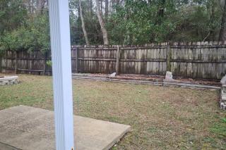 3BR Family Home Near NAS Pensacola - 5