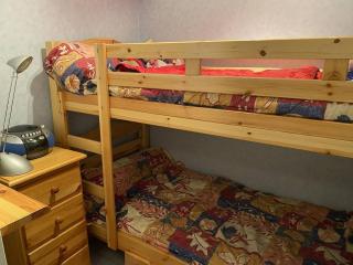 Charmant Appartement à Cauterets - Confort et Accueil Chaleureux - FR-1-812-101 - Cauterets - 5