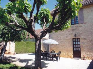 Gîte confortable proche Sarlat, jardin, ping-pong, parking - FR-1-616-403 - Proissans - 0