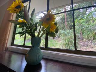 Sine Cera Rainforest Retreat - The Freeman Suite - Cougal - 6
