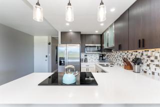 Summer Special -Ocean View Renovated Condo in Napili LSV06 - 2