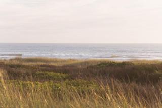 Westport Inn - 8