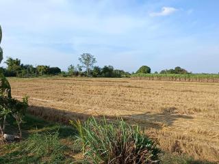Tiny House - Phu Wiang - Mini Golf - Mookata - Phu Wiang - 6