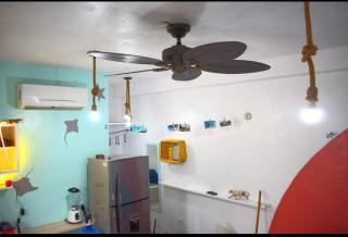 Little Oasis Cozumel - 9