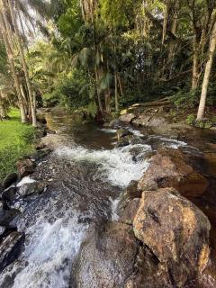 Mt Tamborine Stonehaven Manor - Mount Tamborine - 7