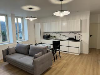 Appartement II - Haut Standing - Nilvange - 6