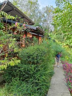 Mook Bamboo Bungalows - Ko Muk - 5