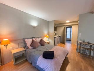 Joli Studio au Golf,Wifi,Parking - Bellême - 1