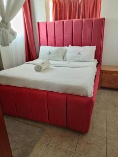 Willy's furnished apartment - Kisumu - 7