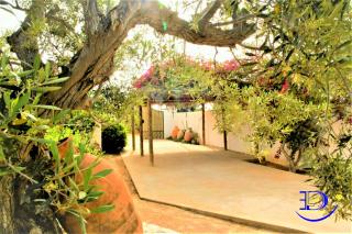 Villa Authentique Bouganvillier, Djerba Tunisie - Taguermess - 3