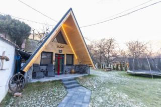 Pensiunea Casa Iulia A-Frame - Martinie - 3