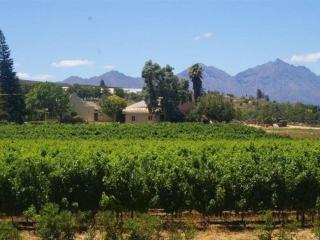 Merwespont Guesthouses#DieHouthuis#Die Wyntenke#A Snoozer's Cottage# - Bonnievale - 9